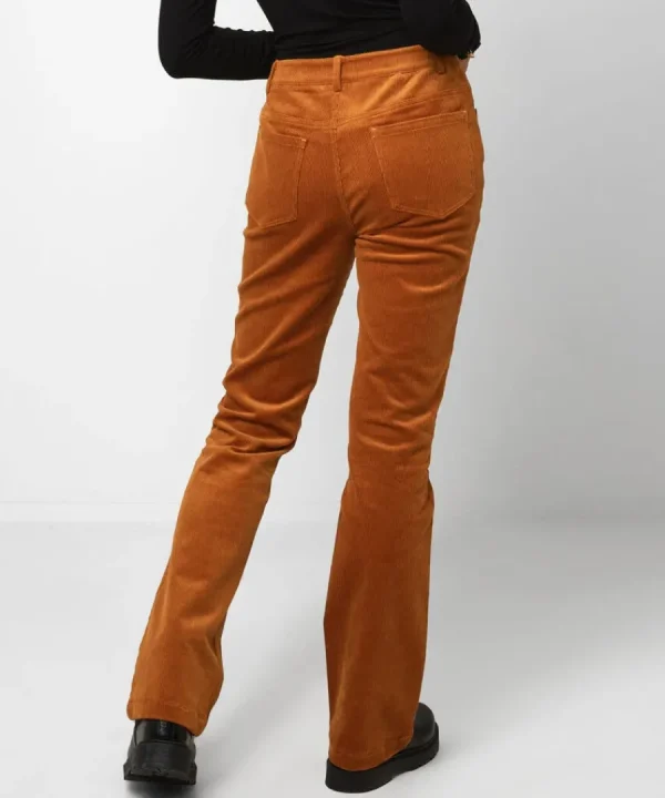 Online Joe Browns Beautiful Bootcut Cords Tan / Teal / Black