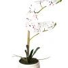 Sale Joe Browns Blooming Marvellous Speckled Orchid White