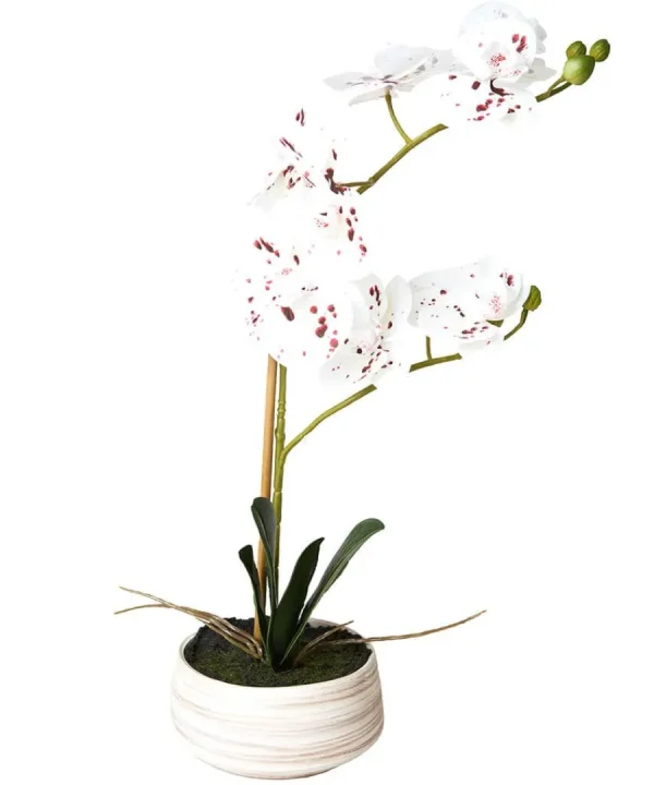 Sale Joe Browns Blooming Marvellous Speckled Orchid White