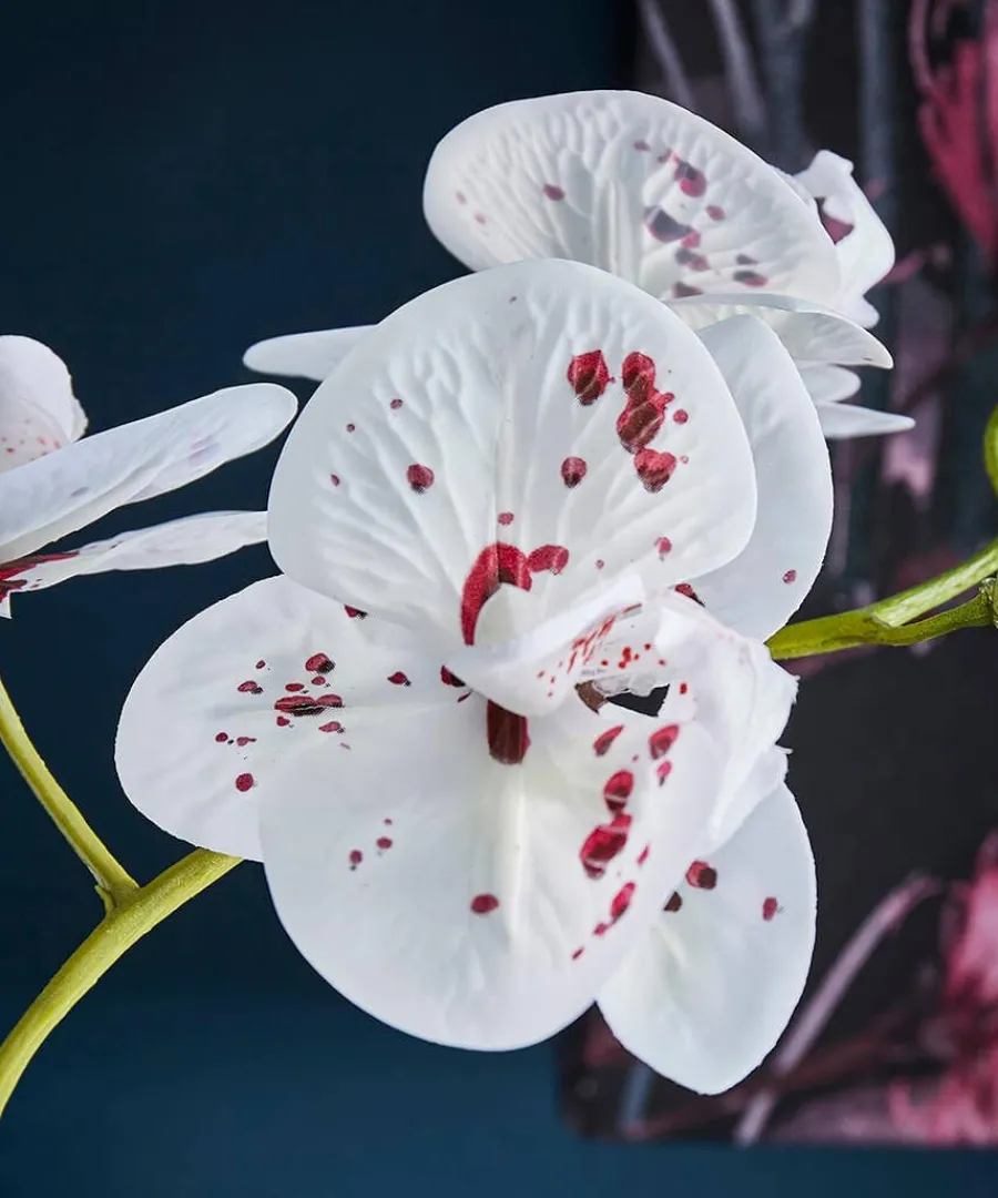 blooming_marvellous_white_2.webp Sale Joe Browns Blooming Marvellous Speckled Orchid White