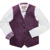 Online Joe Browns Delightful Dapper Waistcoat Purple