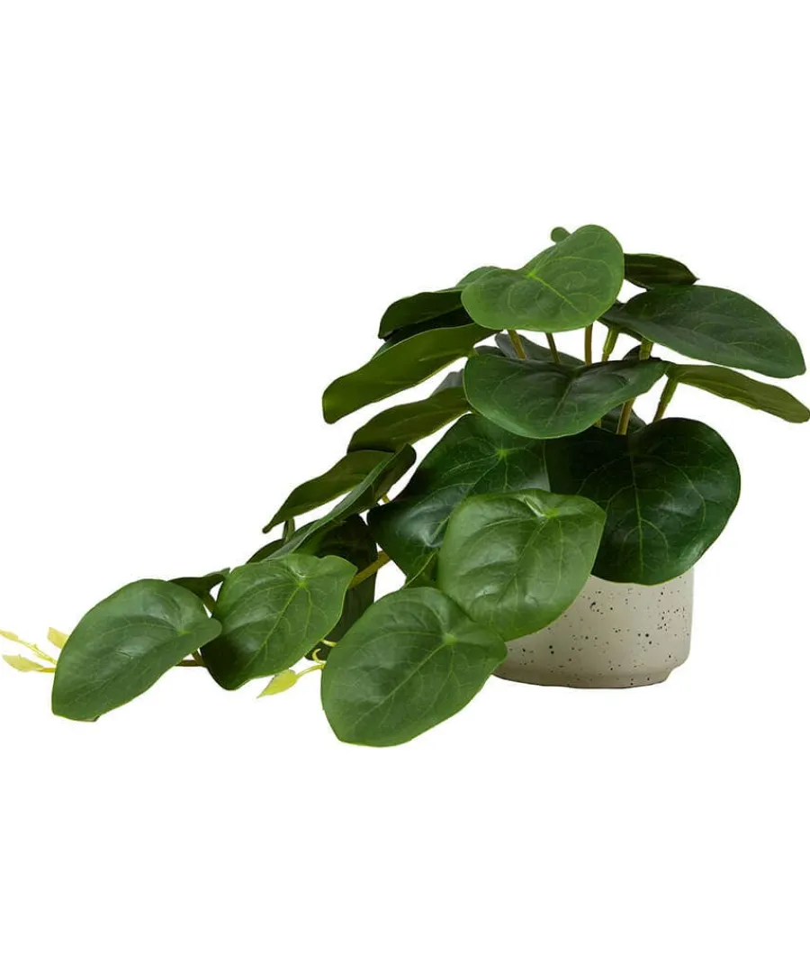luscious_greenery_in_spec_3.webp Fashion Joe Browns Luscious ery In Speckled Ceramic Pots Green