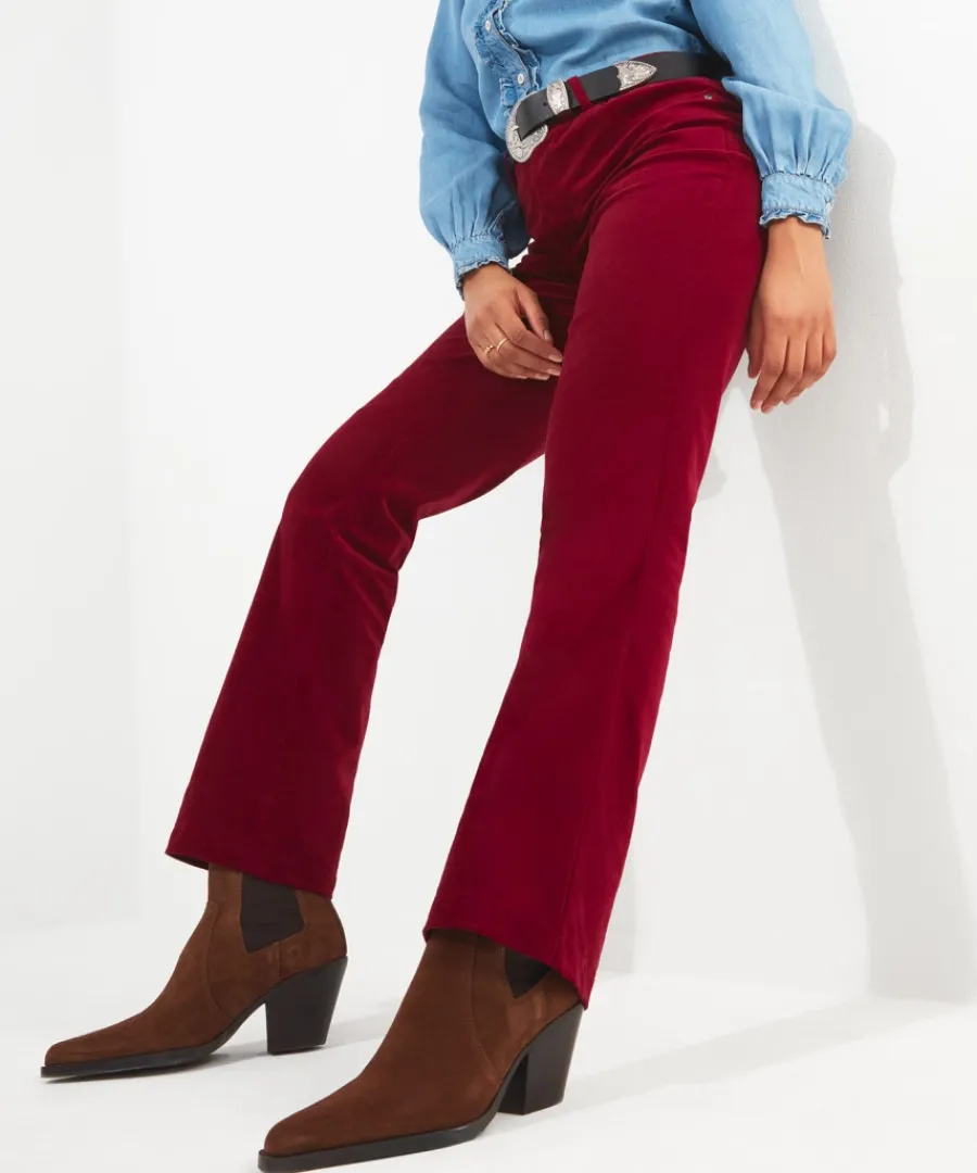 must_have_moleskin_trouse_3.webp Fashion Joe Browns Must Have Moleskin Trousers Berry / Teal
