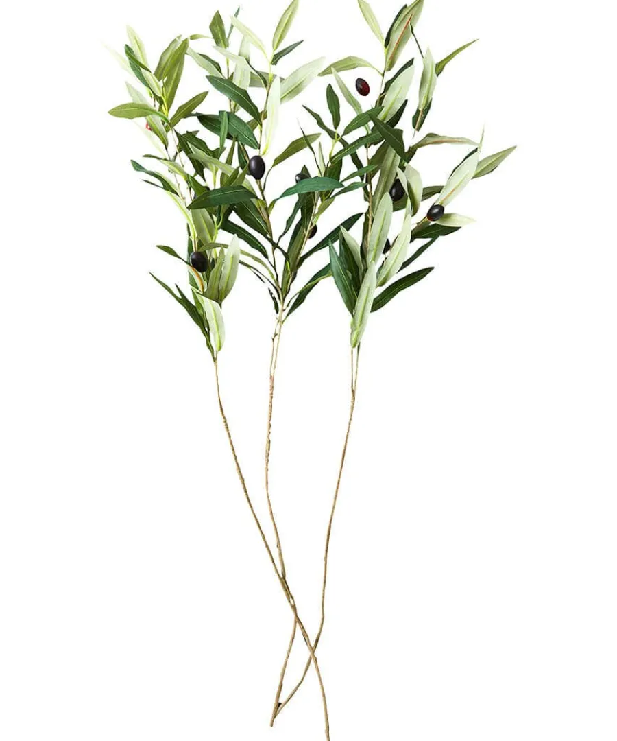 oh_so_lovely_olive_branch_0.webp Sale Joe Browns Oh So Lovely Olive Branches (Pack Of 3) Green