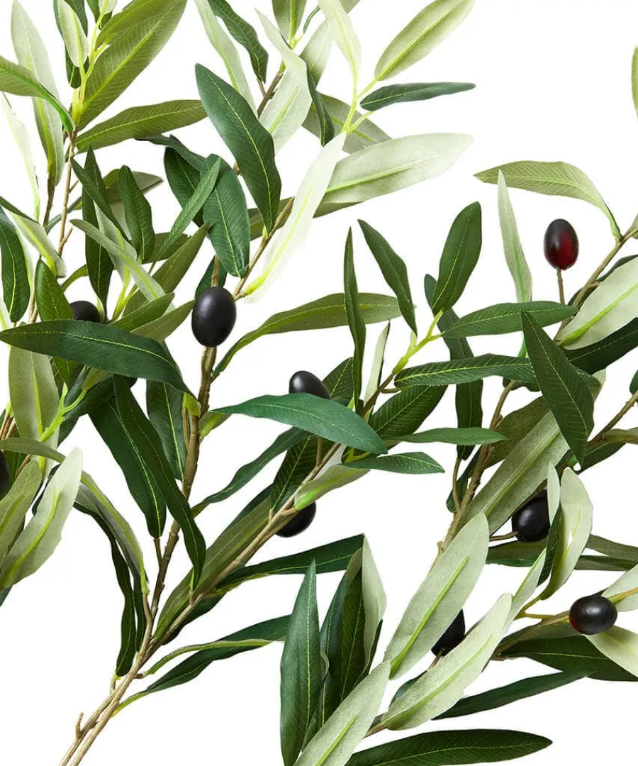 oh_so_lovely_olive_branch_1.webp Sale Joe Browns Oh So Lovely Olive Branches (Pack Of 3) Green