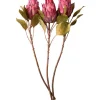 Outlet Joe Browns Pack Of 3 Pretty Protea Flower Stems Pink