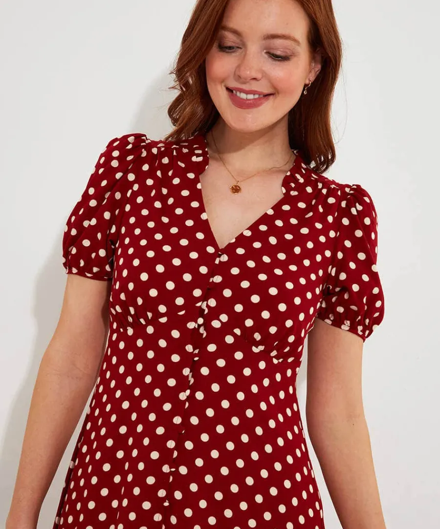 perfectly_polka_dress_6.webp Outlet Joe Browns Perfectly Polka Dress Berry