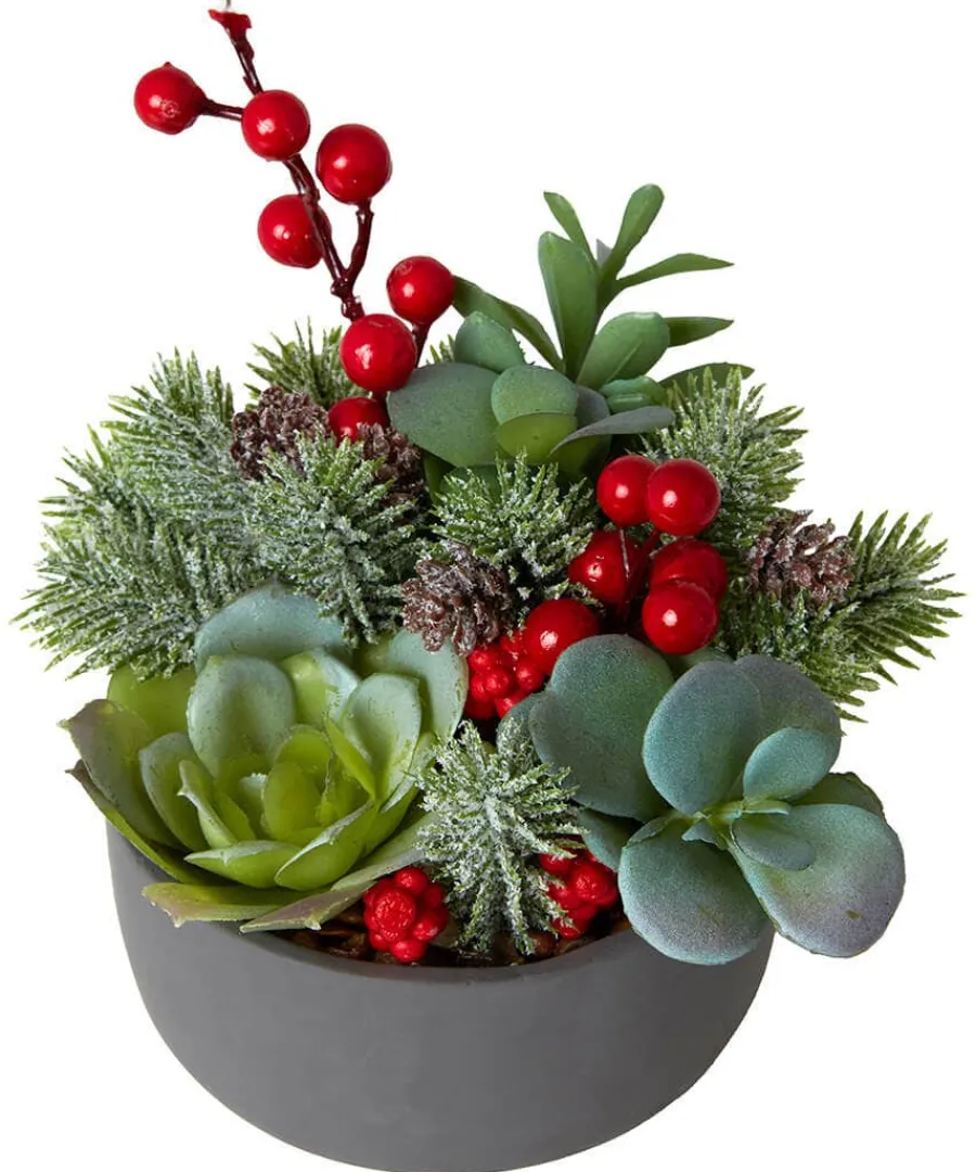 tis_the_season_succulent_1.webp Cheap Joe Browns Tis The Season Succulent Red