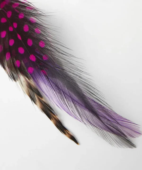 Flash Sale Joe Browns Vibrant Feather Pin Multi