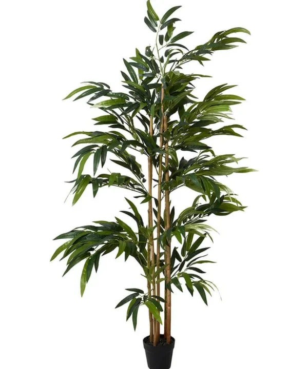 Fashion Joe Browns Brilliant Bamboo Plant Green