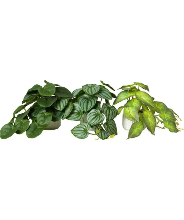 Fashion Joe Browns Luscious ery In Speckled Ceramic Pots Green