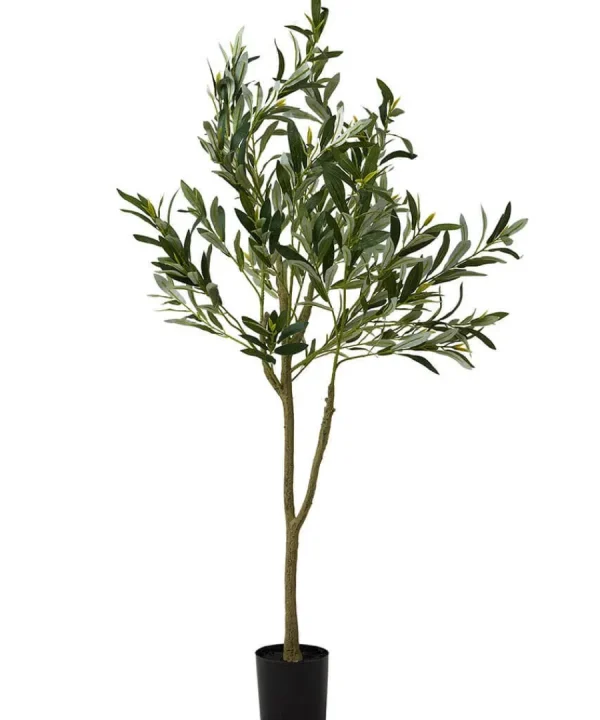Sale Joe Browns The Tree Of Life Olive Tree Green